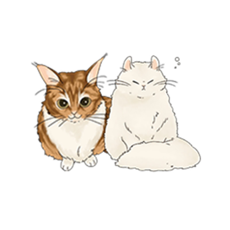 Chacha&Maron - 網紅的藏寶箱 