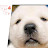 낭만곰