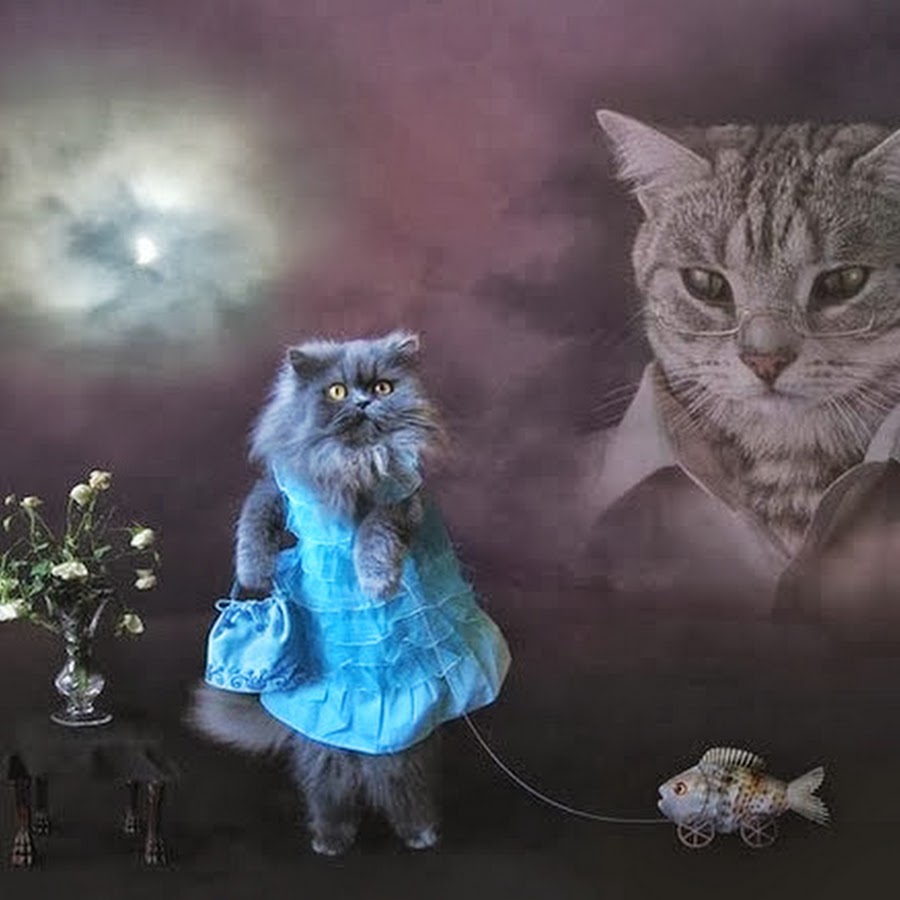 кошечка в тумане. рыжий туман. кот в тумане. кот из тумана. кот в тумане.