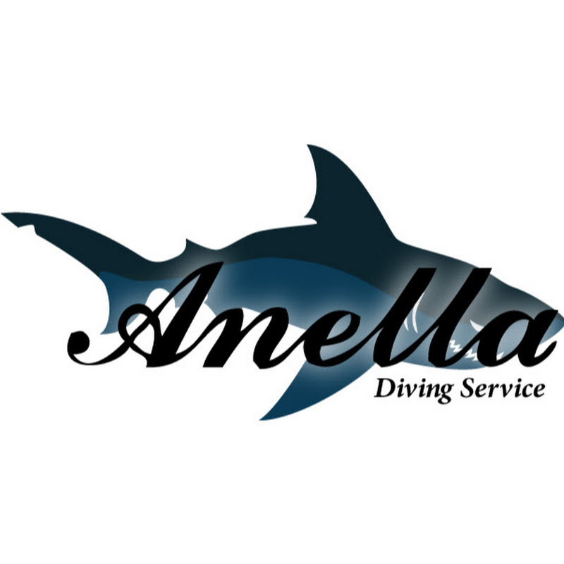Anella Diving Service - 網紅的藏寶箱 