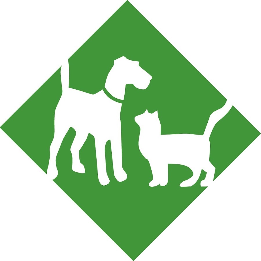 Вет ис. Ветеринария лого Узбекистан. Oasis Veterinary. Landscape Veterinary logo.