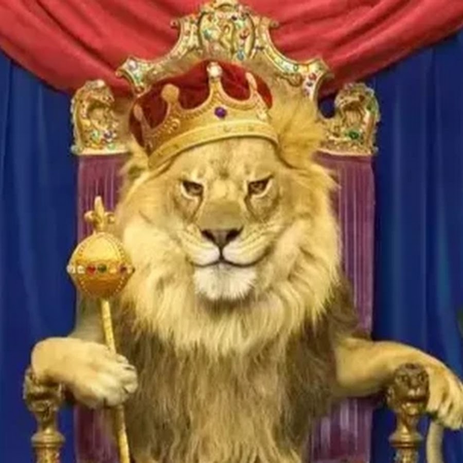 Hotskins30 org. Hotskins30 org. Hotskins30 org. Hotskins30 org. Hotskins30 org.