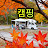 캠핑쌍붕어