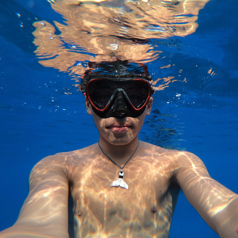 LWSocean TV - 網紅的藏寶箱 