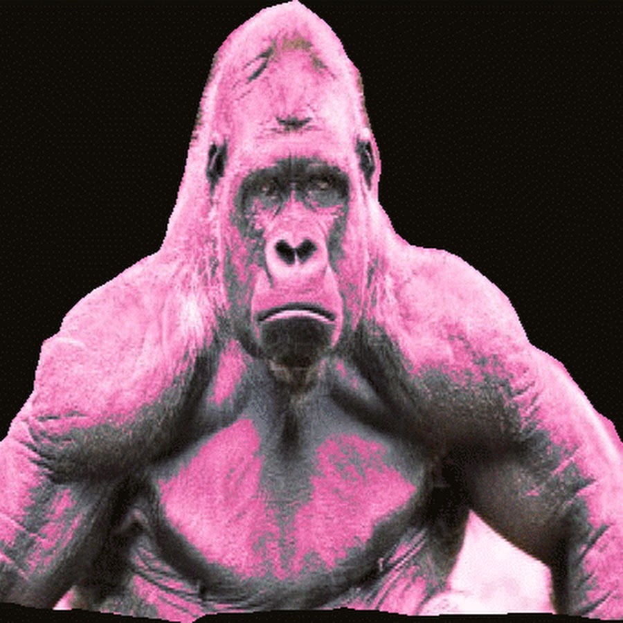 Кто под маской розовой гориллы. Розовая горилла. Фиолетовая горилла. Горилла мультяшная. Горилла смешная.