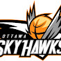 Sky HawksTV - @SkyHawksTV YouTube Profile Photo