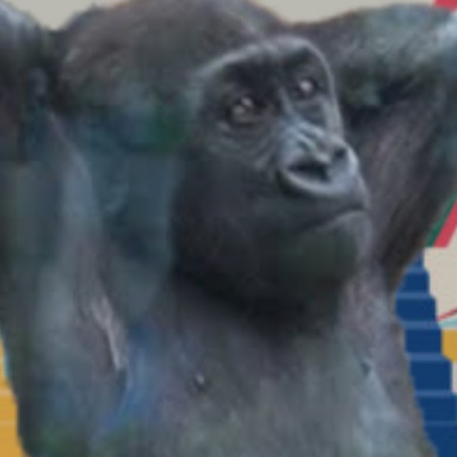 Time Gorillaたいむごりら Youtube