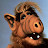 Gordon