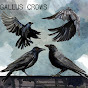 Gallus Crows YouTube Profile Photo