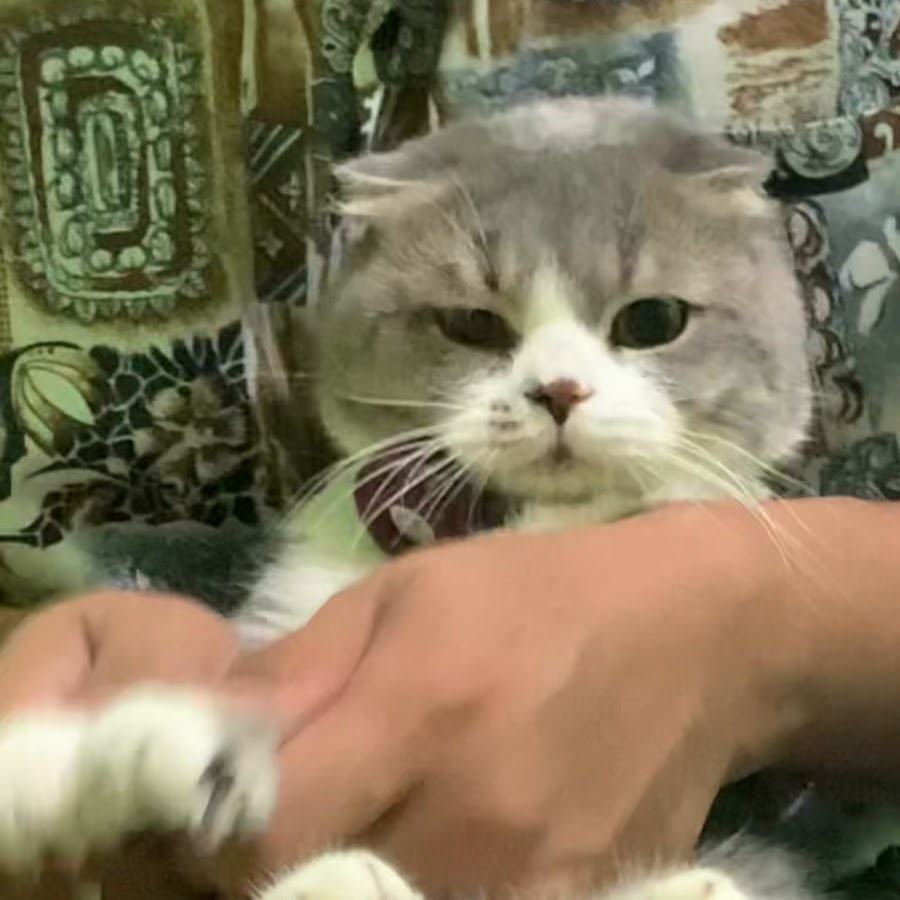 Японский дракон нихонга