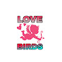 LOVE BIRDS YouTube Profile Photo