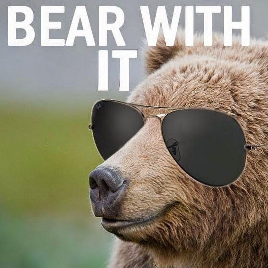 Bear ear iphone. белый медведь с телефоном. медведь альбинос веня. Is this for me bear. путин на медведе.