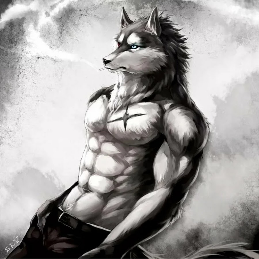 Рисунок волк качок