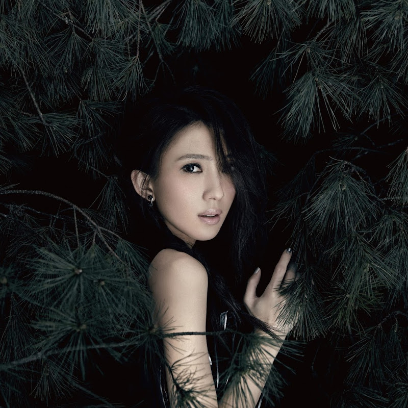 戴佩妮 Penny Tai Official - 網紅的藏寶箱 