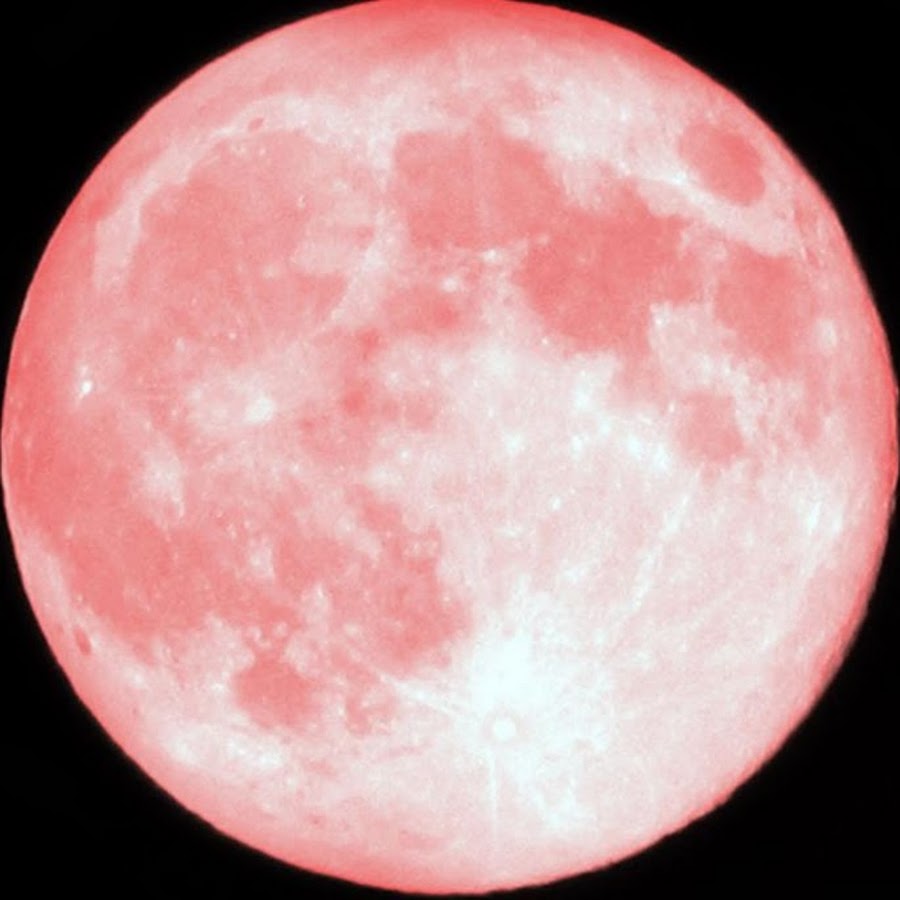 Есть розовая луна. Розовая Луна. Розовое полнолуние. Картина с розовой луной. Нежно розовая Луна без фона.
