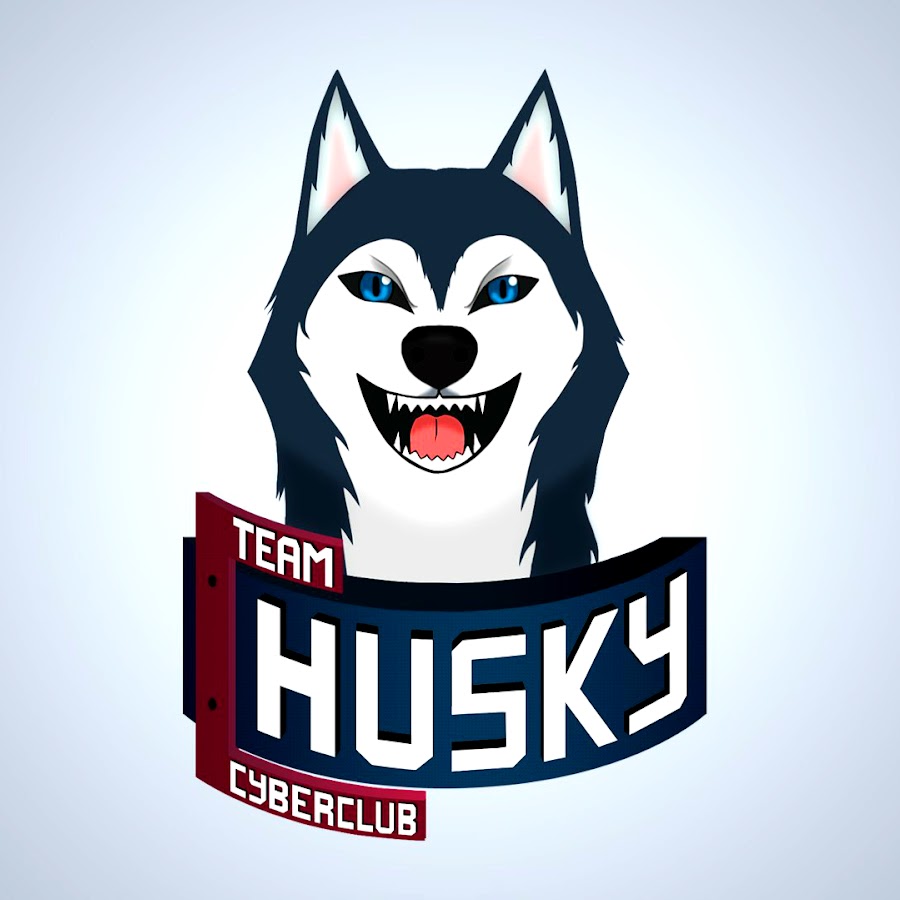 Хаски катание на собаках новосибирск. Команды для хаски дрессировка. Хаски команда. Хаски суровый взгляд. Виды хасок вместе.