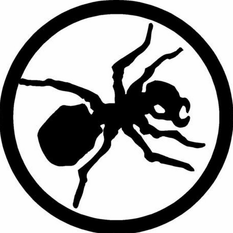 Картинка продиджи муравей