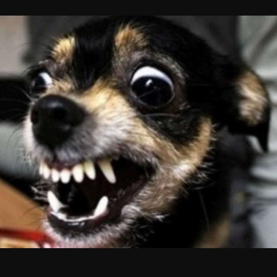 we smell like shampoo - YouTube