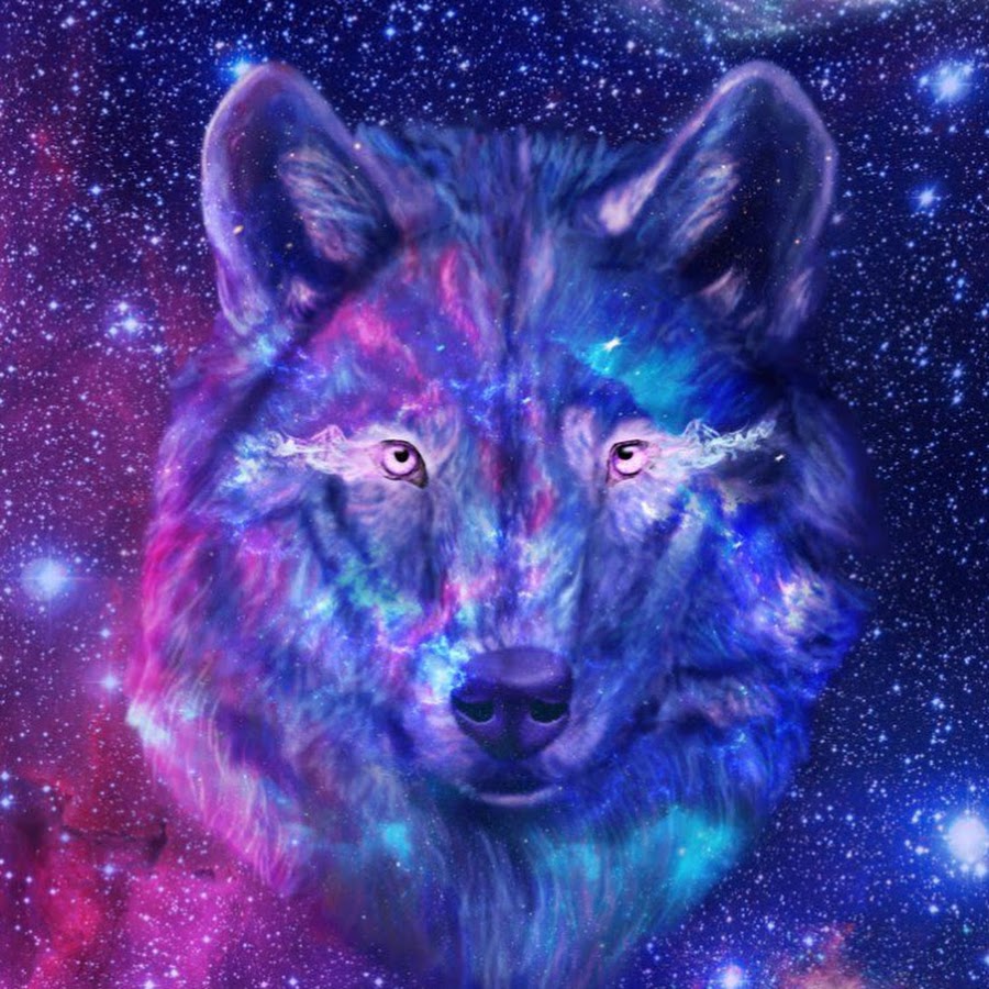 THE_WOLF_GALAXY - YouTube.