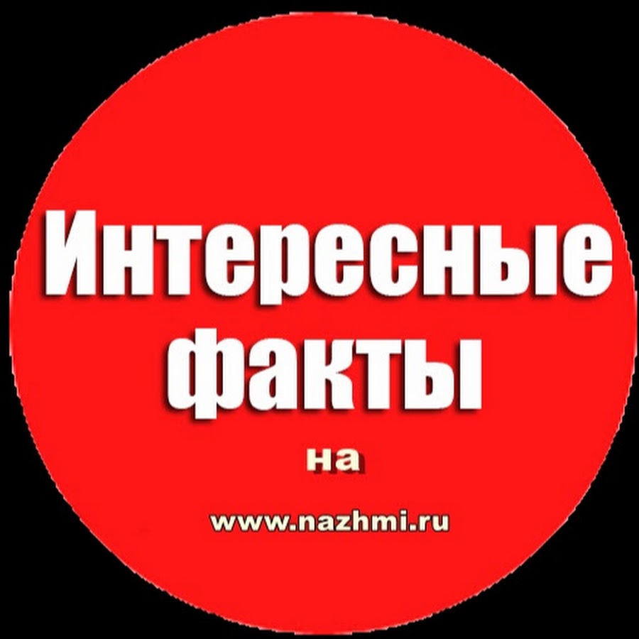 Интересные факты картинки для презентации