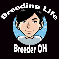 오브리더Breeder OH thumbnail