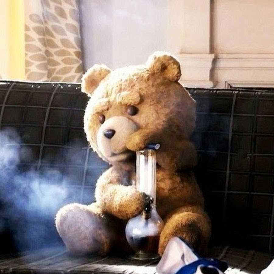 Картинки медведь курит