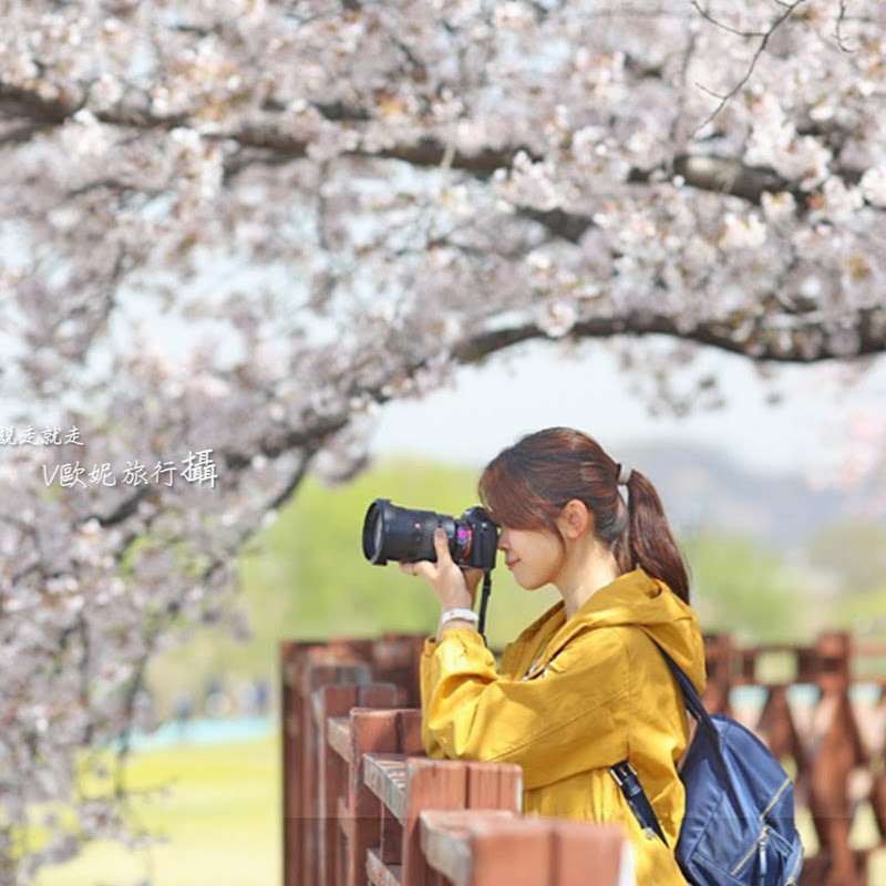 Voni - 網紅的藏寶箱 