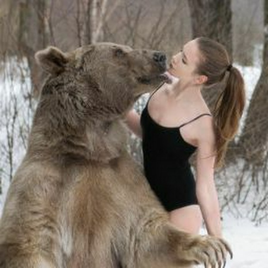 медведь женщина дом. креативный сюжет. медведя кормят. девушка с медведем в лесу.