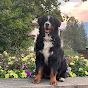 The Crafty Berner YouTube Profile Photo