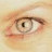 gibblefloop Avatar