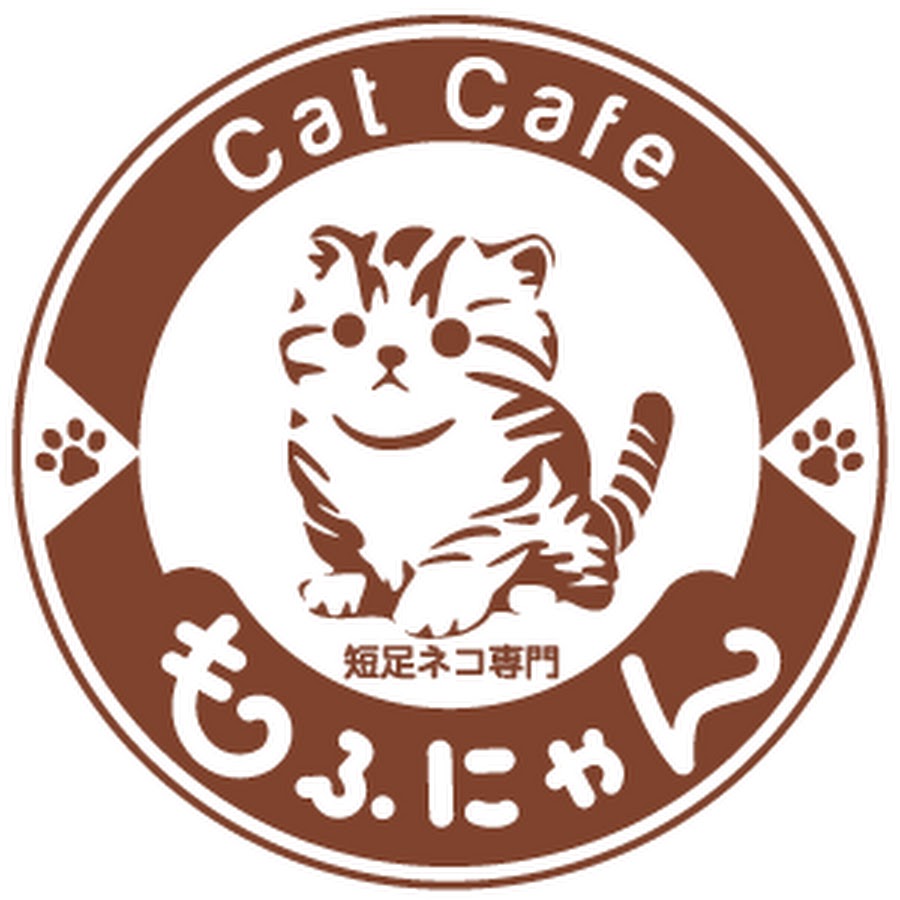 Japanese Cat Cafe Mofunyan Youtube