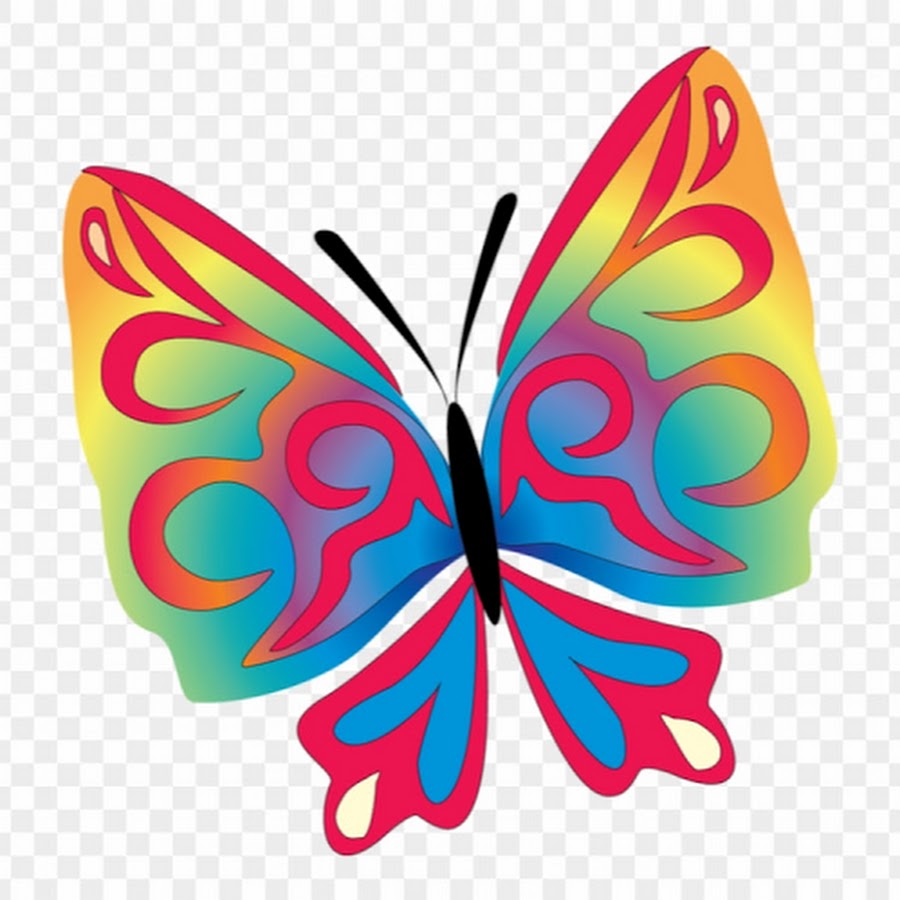 Цветные бабочки для детей. Бабочки для вырезания цветные для детей. Бабочка рисунок для детей