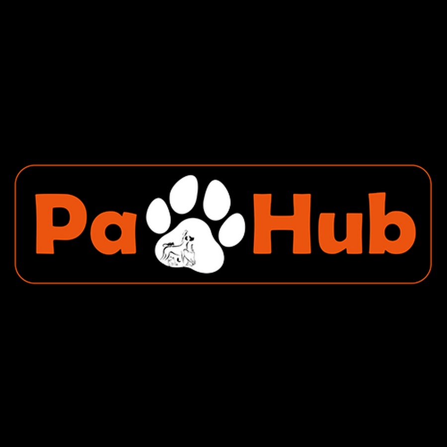 Paw Hub -