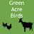 Green Acre Birds