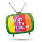 TulipTVTulipe YouTube Profile Photo