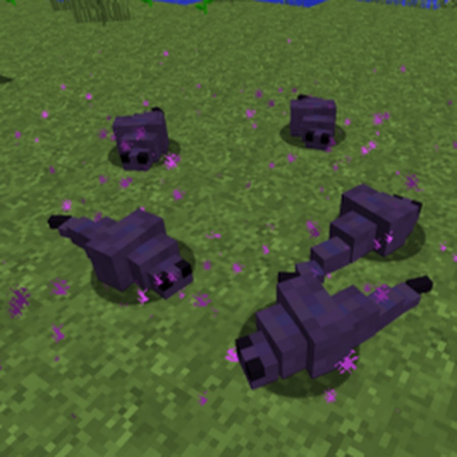 AKedOLR4kGuDFTF81px6RMWe9VnGGMttQKLmsPIXFL33=s900ckc0x00ffffffnorj