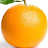 The Only True Orange