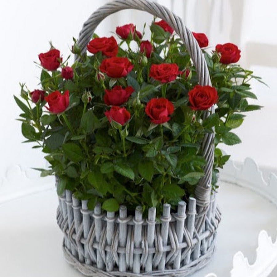 Розы голландские в корзинке