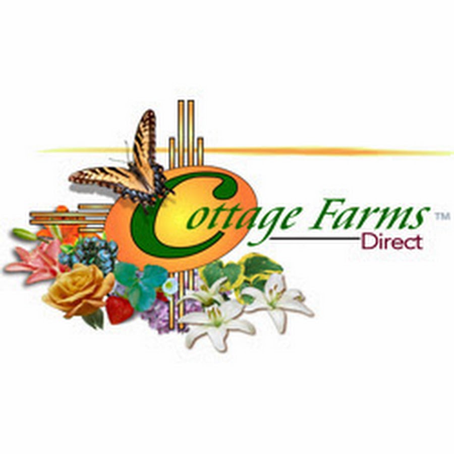 AKedOLR5lqnjJY0NZv3Qd4yb76nPGiFQg56bbVMyEg4S=s900ckc0x00ffffffnorj