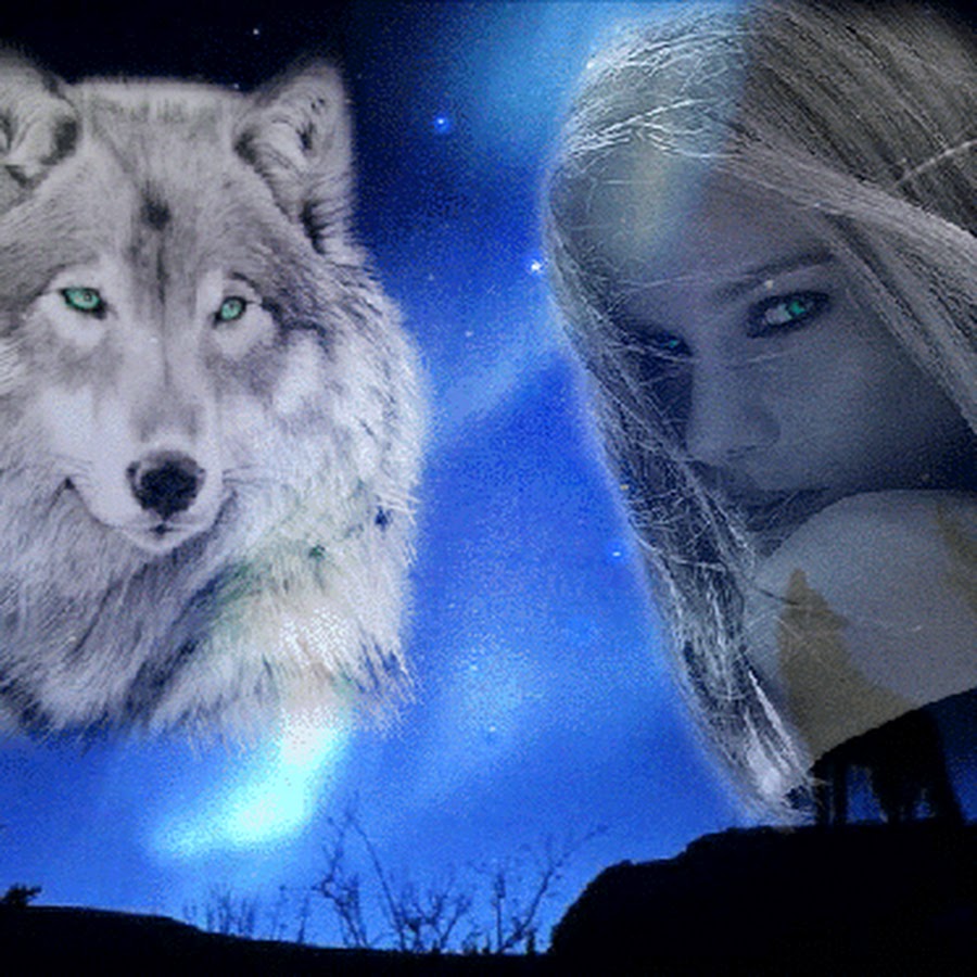 Добрый волки песню. Девушка с волком. Красивая девушка с волком. Красивый волк. Волк и волчица.