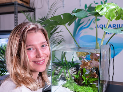 コンプリート！ youtube アクアリウム 286166-Youtube アクアリウム