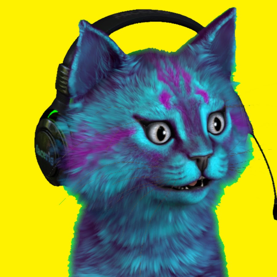 Картинки котика лайка и котика игромана