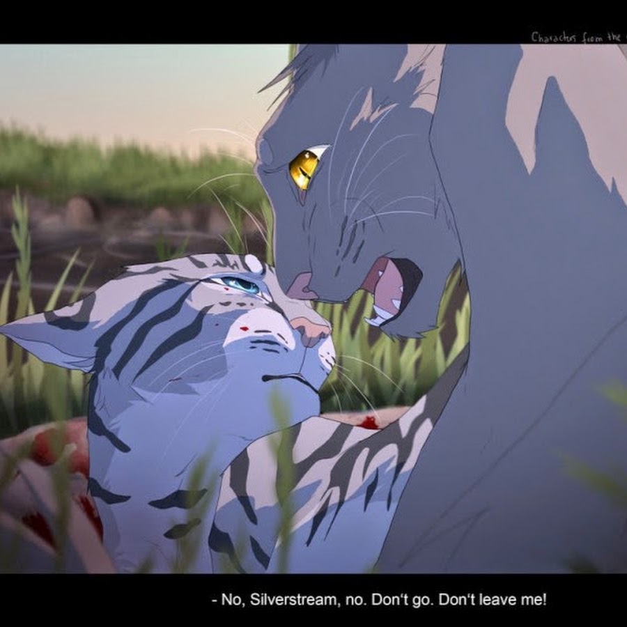 Коты Воители смерть Крутобока