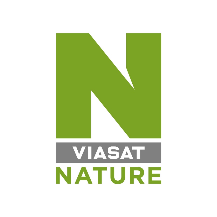 Tempel brugerdefinerede Drama Viasat Nature - YouTube