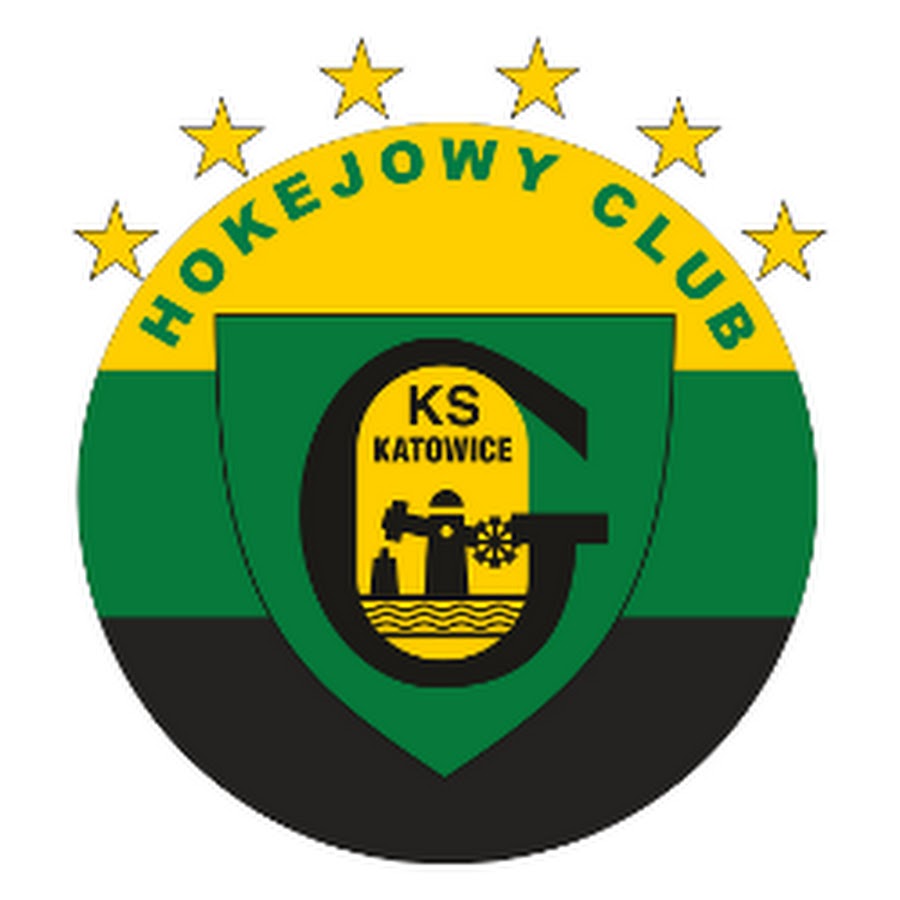 катовице хоккей. Katowice 2021 final gambit vp. Goran hogosta. Cs go major katowice. Gambit esports 2021.