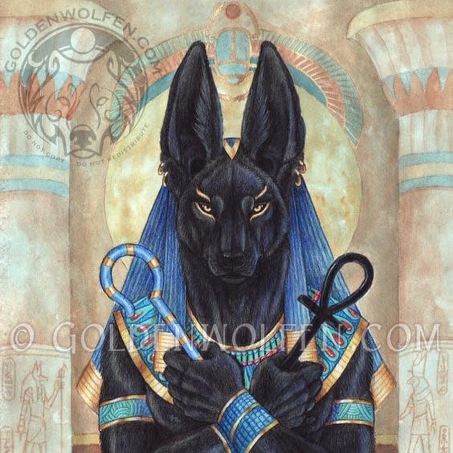 Анубис логотип. Анубис ксго эмблема. Логотип анубиса. Анубис тим. Анубис тим.