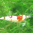 MrTurritos Avatar