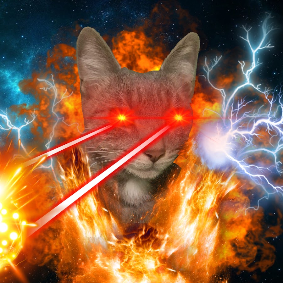 Laser Cats Productions - YouTube.