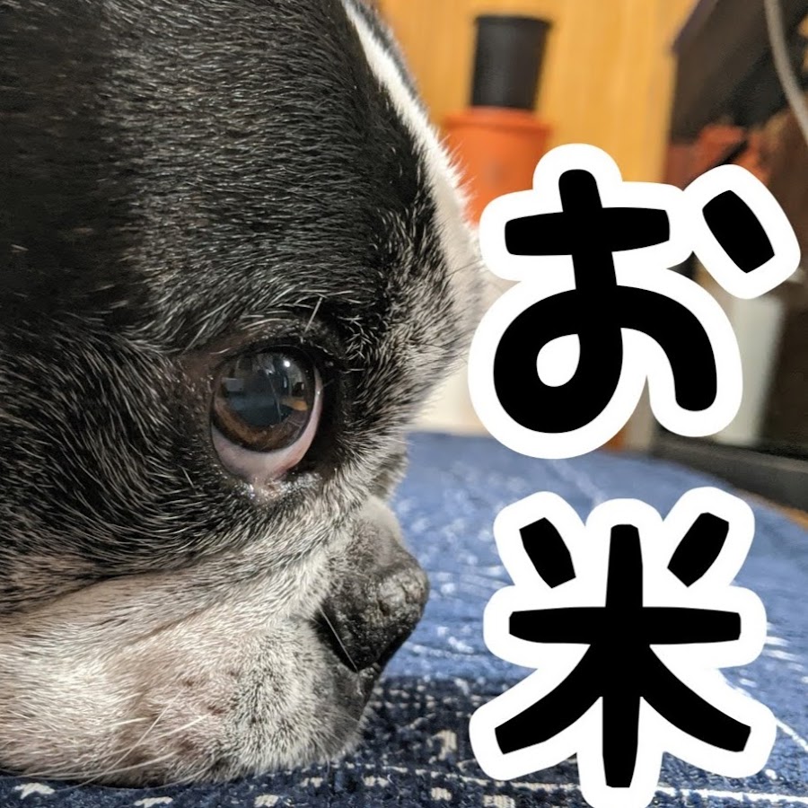 お米ちゃんのお米ダイエットチャネル Youtube