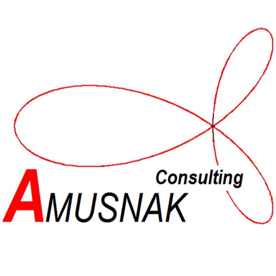 Amusnak Consulting